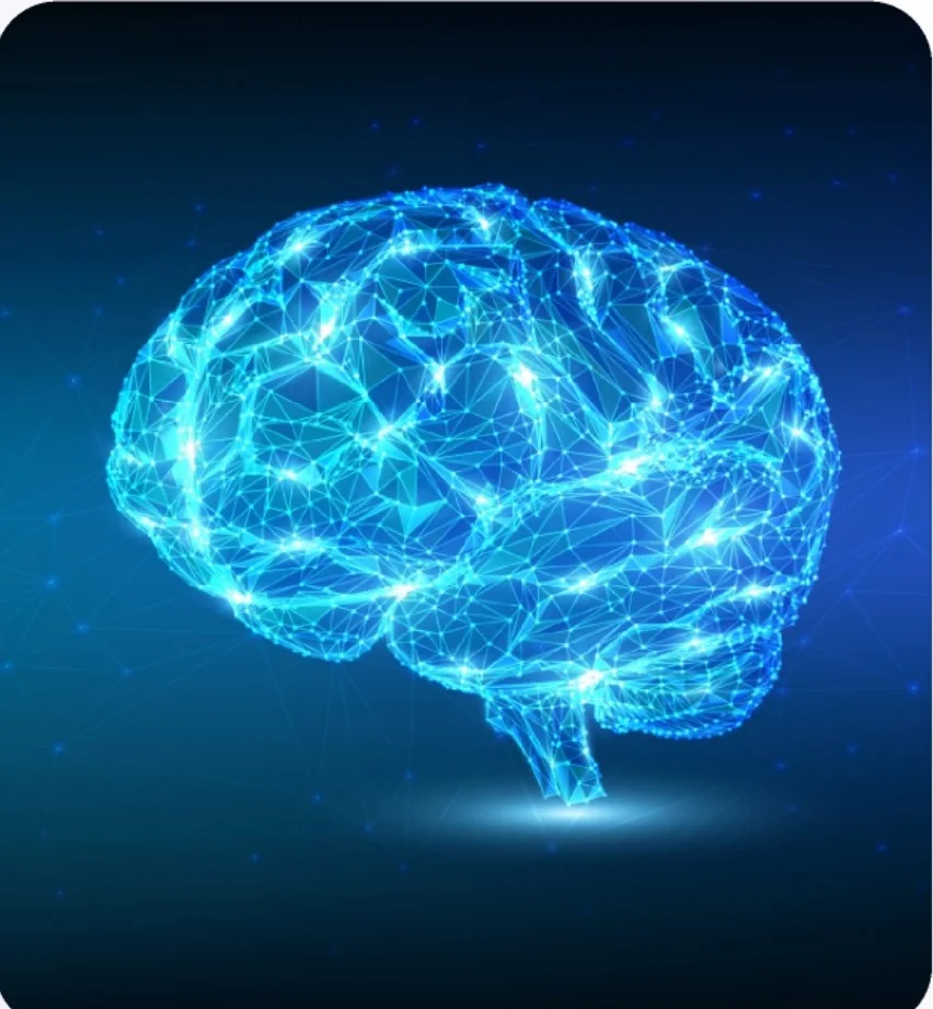 Svietiaci mozog – Neuro-lingvistické programovanie